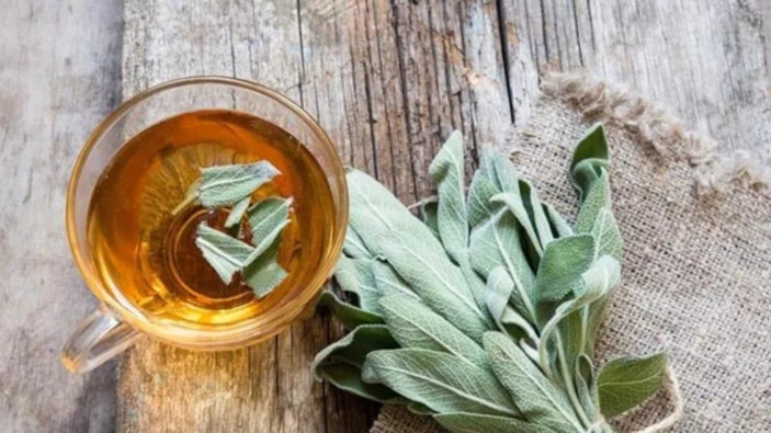 Prof Dr. Saraçoğlu öneriyor: Bu çayı içince asla hasta olmayacaksınız! Gribin baş düşmanı…