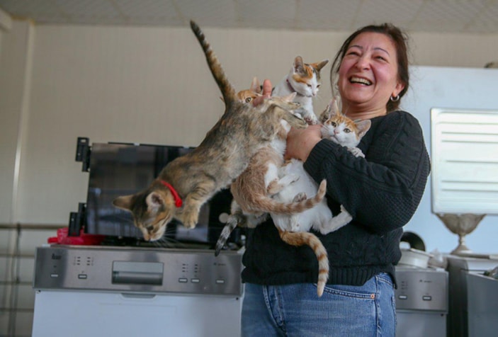 İzmir'de mağaza sahibi çift, dükkanlarını kedilere açtı