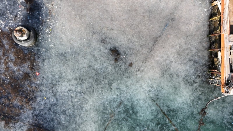 İstanbul Boğazı’nı denizanaları istila etti