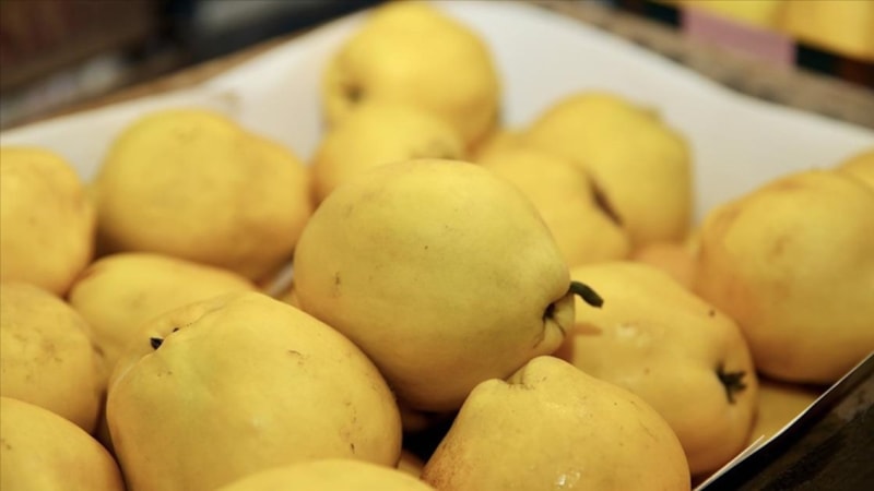 Dünyaya ayva Türkiye'den gidiyor