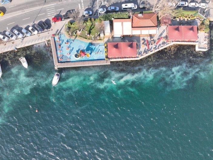 İstanbul Boğazı’nı denizanaları istila etti