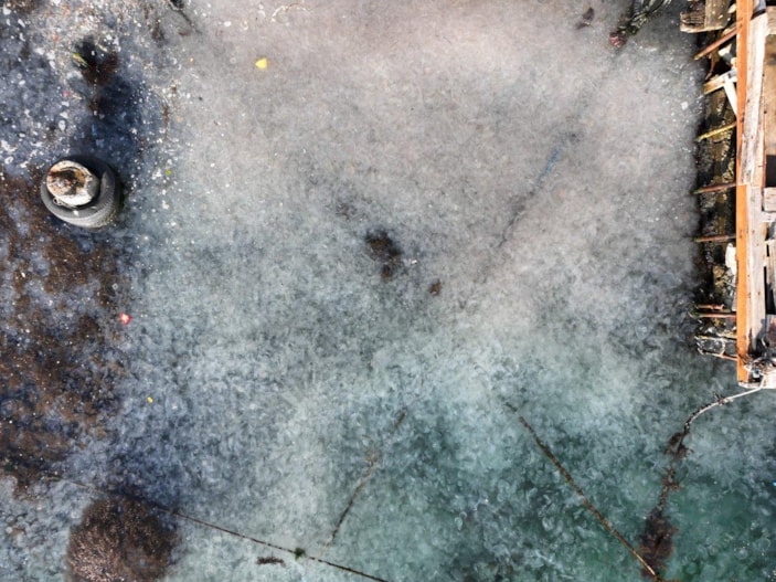 İstanbul Boğazı’nı denizanaları istila etti