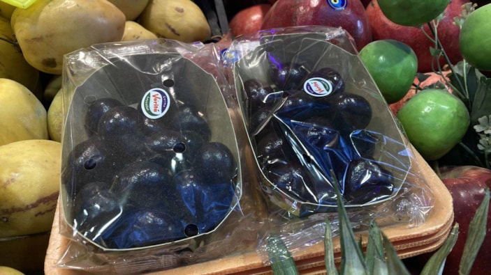 Güney Amerika'dan gelen kirazın kilosu bin 250 liradan satılıyor