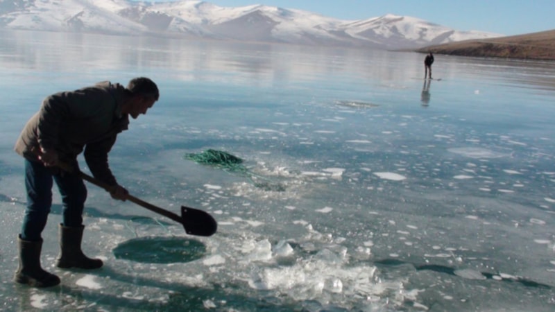 Çıldır Gölü'nde Eskimo usulü balık avı başladı