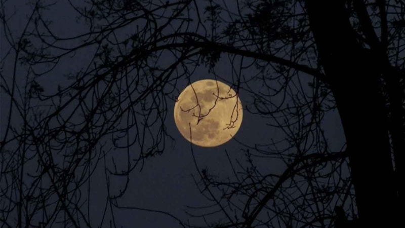 Dolunay ne zaman gerçekleşecek, hangi gün? İşte Yengeç dolunayının burçlara etkisi!