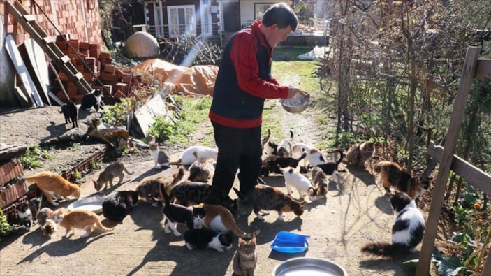 Samsun'da çocuğu gibi gördüğü 50'den fazla kedi için köyünde yaşıyor
