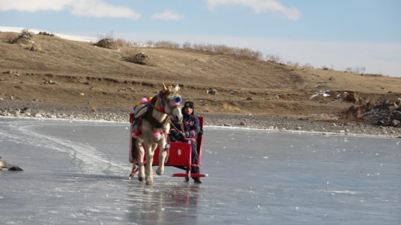 Çıldır Gölü'ne ziyaretçi akını