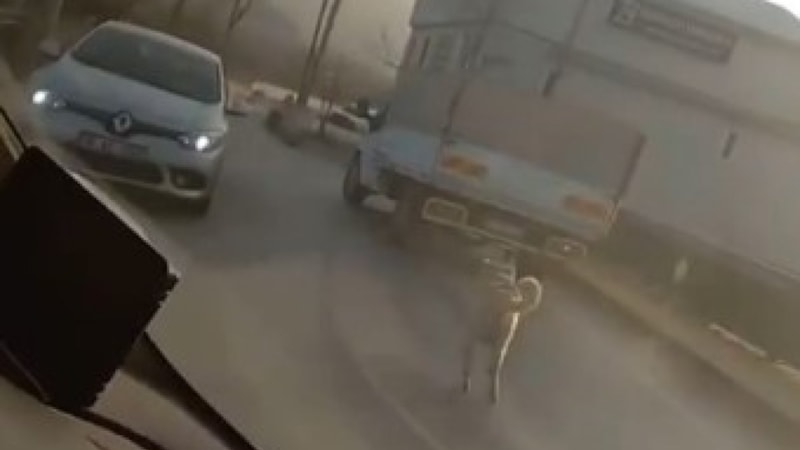Bursa'da köpeği kamyonete bağlayıp koşturdular