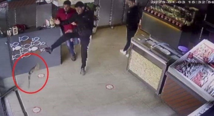 Tekirdağ'da balıkçıya giren atmaca işletmeyi birbirine kattı