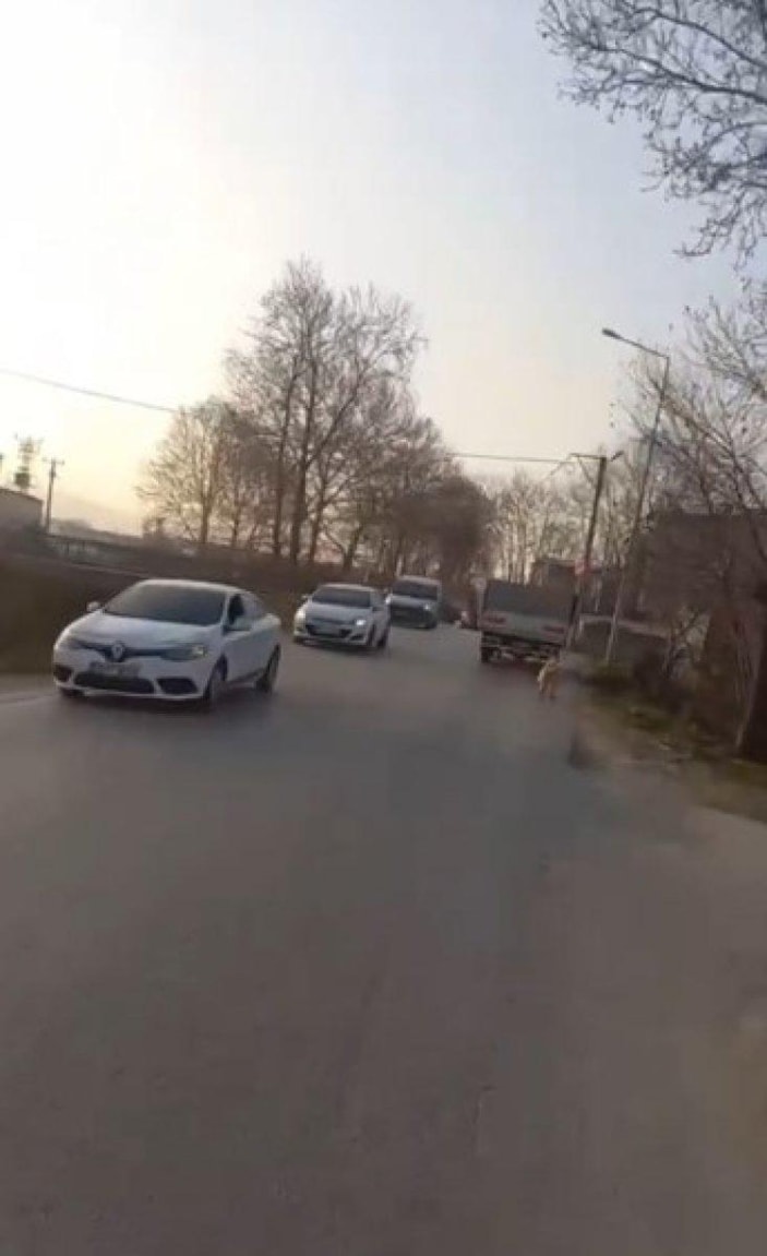 Bursa'da köpeği kamyonete bağlayıp koşturdular