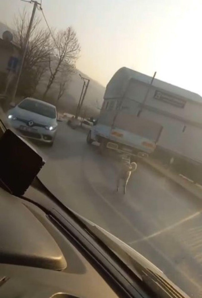 Bursa'da köpeği kamyonete bağlayıp koşturdular