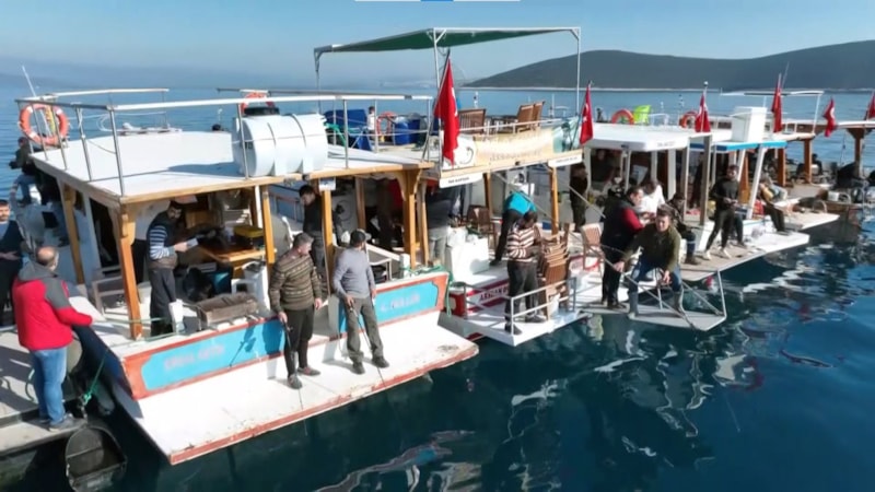 Muğla'da amatör olta balıkçılığı turizmini başlattı