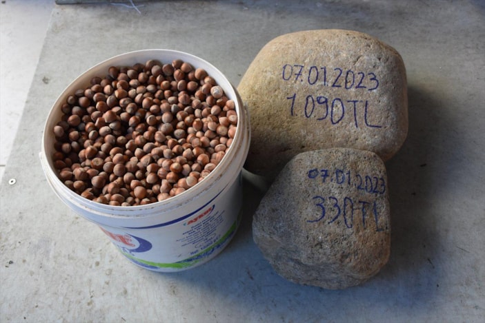 Trabzon'da satılan fındık çuvallarından taş çıktı