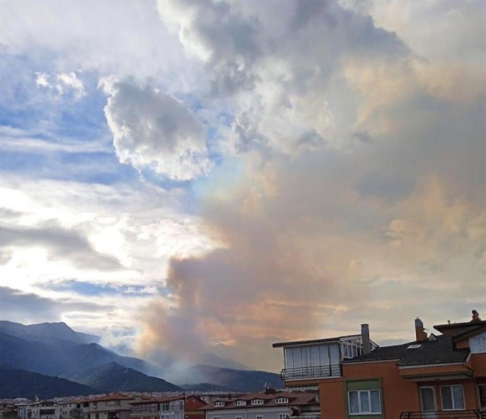 Denizli'de orman yangını çıktı