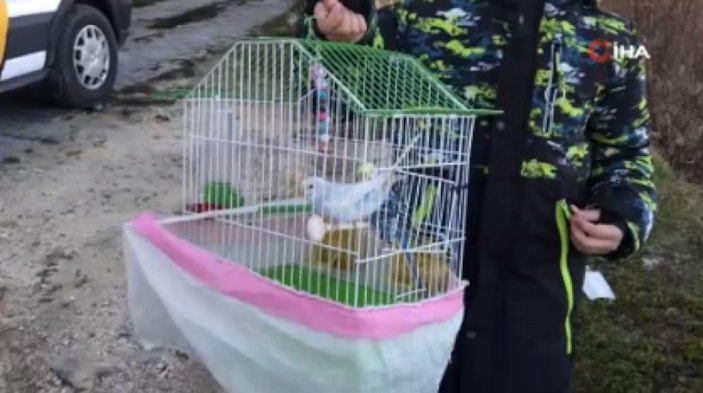 Kastamonu'da alevlere aldırış etmeyip yanan evdeki kuşları kurtardı