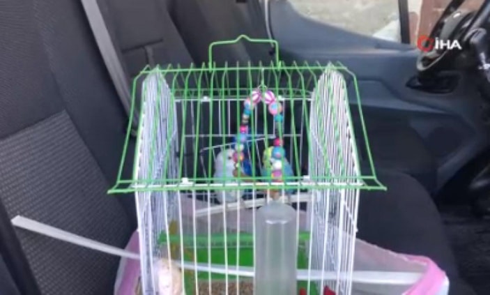 Kastamonu'da alevlere aldırış etmeyip yanan evdeki kuşları kurtardı