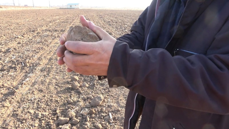 Kırıkkale'de şiddetli kuraklık toprağı kuruttu