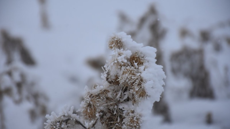 Doğu'da dondurucu soğuklar başladı