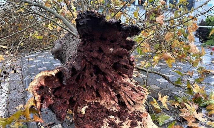 i Antalya'da şiddetli yağmur hayatı durma noktasına getirdi