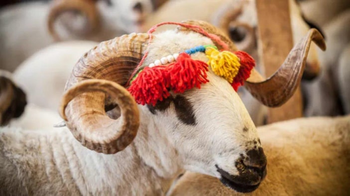 2023 Ramazan ve Kurban Bayramı ne zaman? 