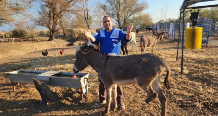 Şırnak'ta ölüme terk edilen eşek, Osmaniye'de hayat buldu