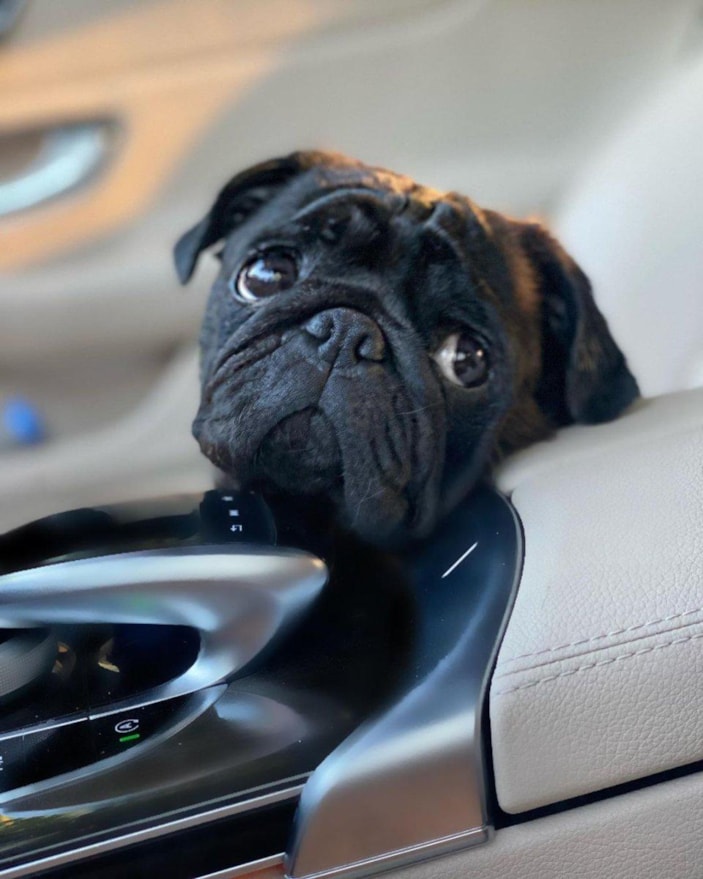 Tuvana Türkay, Boğaz'ın serin sularına atladı