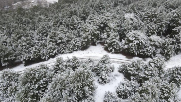 Aydın’a yılın ilk karı yağdı