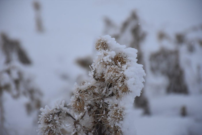 Doğu'da dondurucu soğuklar başladı