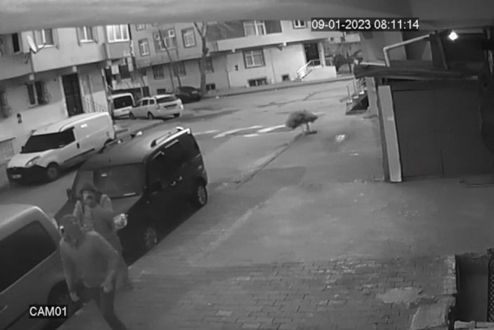 Sultangazi'de kağıt toplayıcı gibi gelip park halindeki aracı soydular