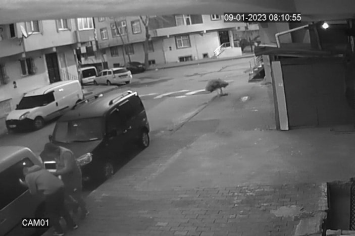 Sultangazi'de kağıt toplayıcı gibi gelip park halindeki aracı soydular