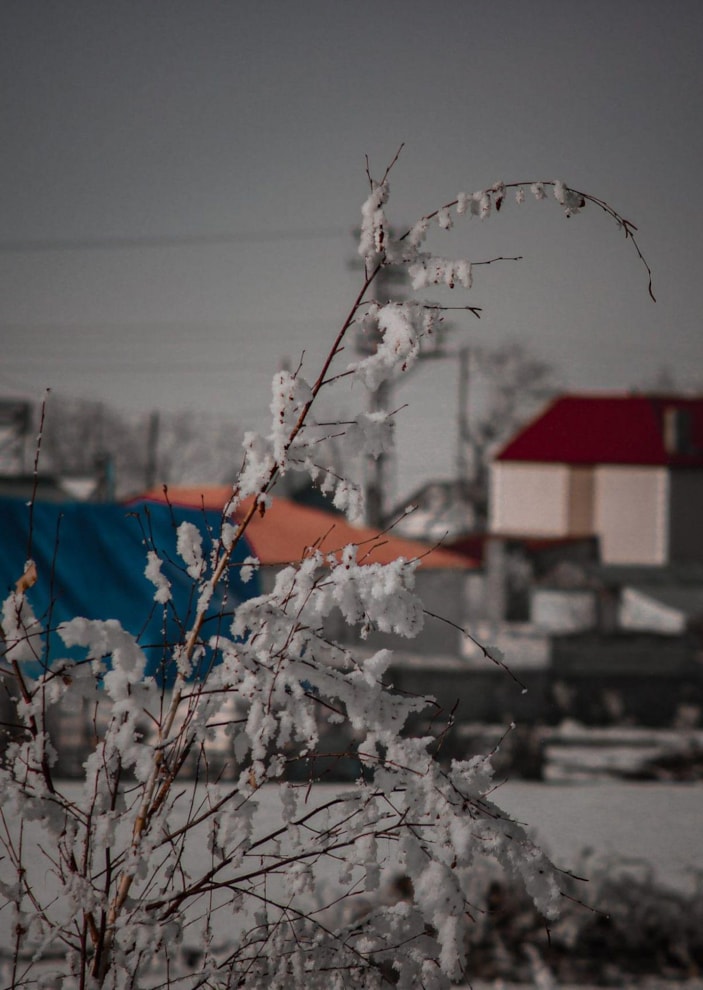 Kar yağmayan Doğu Anadolu, Sibirya soğuklarına teslim -10