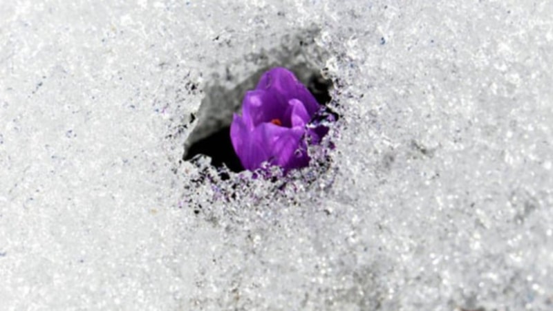 2023 ilk cemre ne zaman düşecek? 