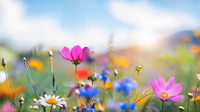 2023 ilk cemre ne zaman düşecek? 