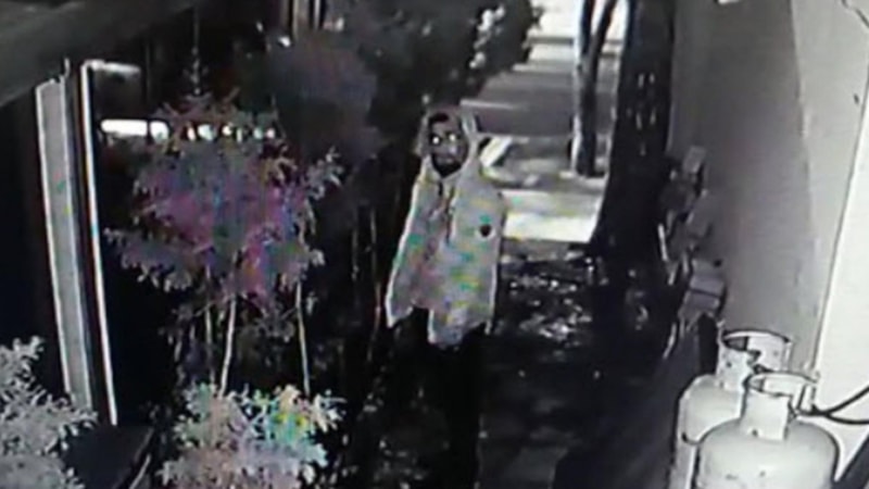 Muğla'da kasadan para çalan üniversite öğrencisi kamerada