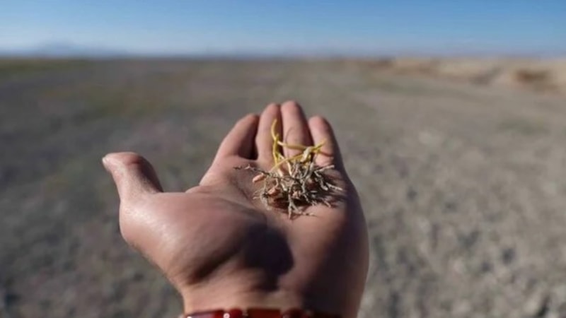 Konya Ovası’nda kuraklık alarmı