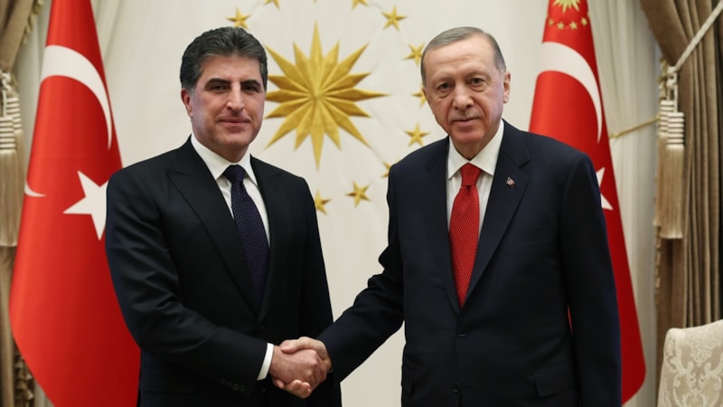 Cumhurbaşkanı Erdoğan, IKBY Başkanı Barzani'yi kabul etti