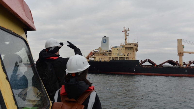 Afganistan'a tahıl taşıyan geminin denetimi İstanbul'da yapıldı