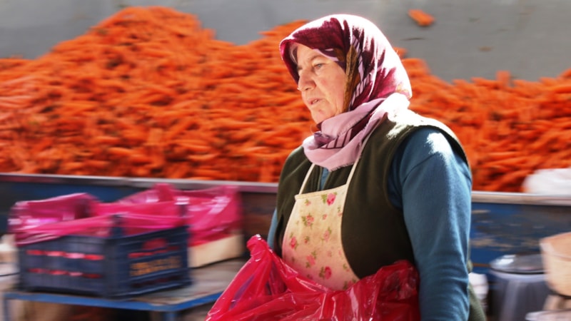 Konya'da ocak ayında havucun elle sökümü yapılıyor
