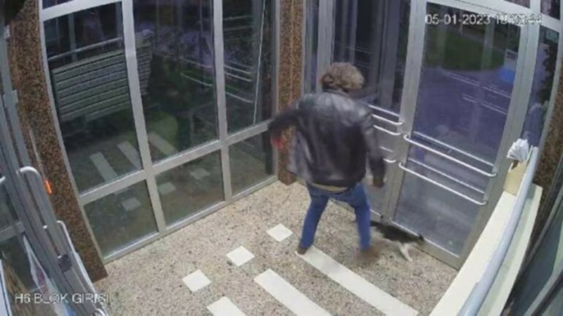 Küçükçekmece'de kediye şiddet uygulayan şüpheli serbest kaldı