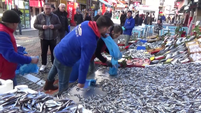 Edirne'de hamsinin kilosu tezgahta 20 TL'ye düştü