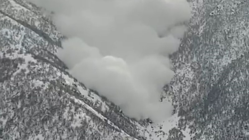 Hakkari'de çığ düştü