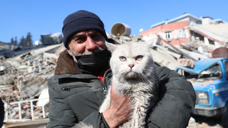 Hatay'da kaybolan kedisine 5 gün sonra kavuştu