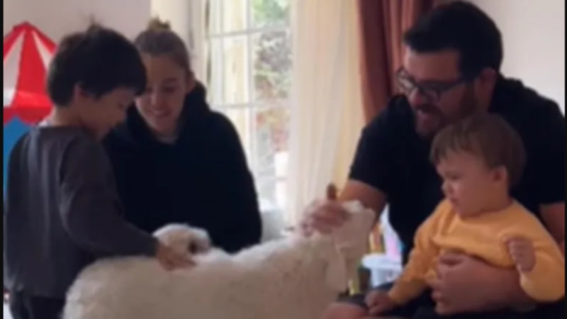 Eser-Berfu Yenenler çifti depremde kurtulan köpekleri sahiplendi