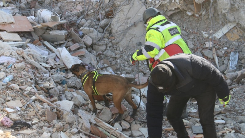 Deprem bölgesinde 5 günde 10 kişiye ulaşan köpekler