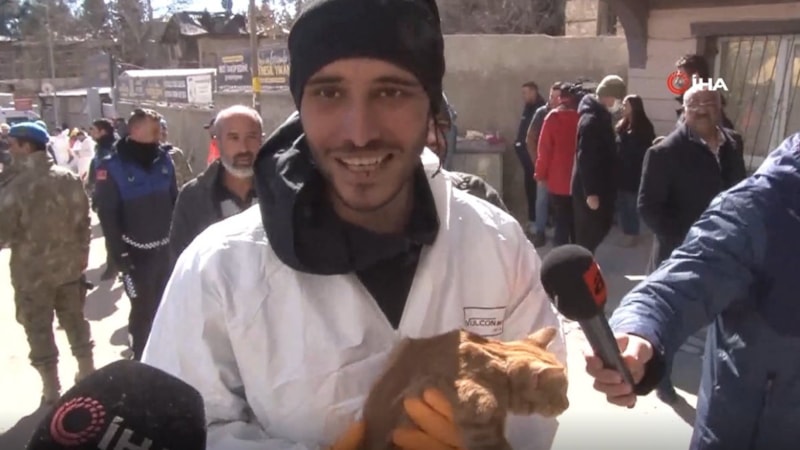 Kahramanmaraş'ta 248 saat sonra enkazdan kedi çıkarıldı