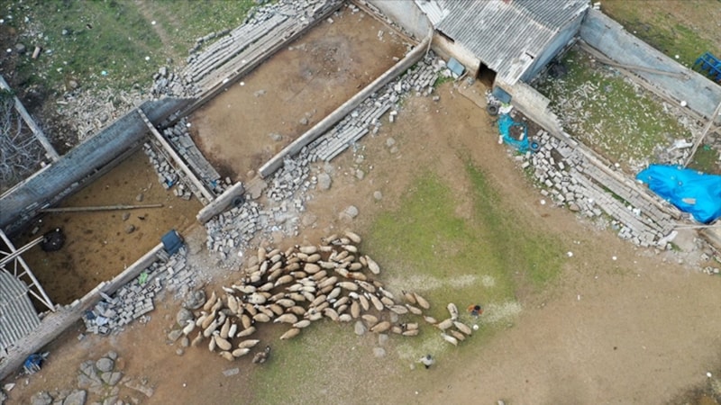 Deprem bölgesinde, tarımla ilgili 11 milyon TL hasar ödemesi yapıldı