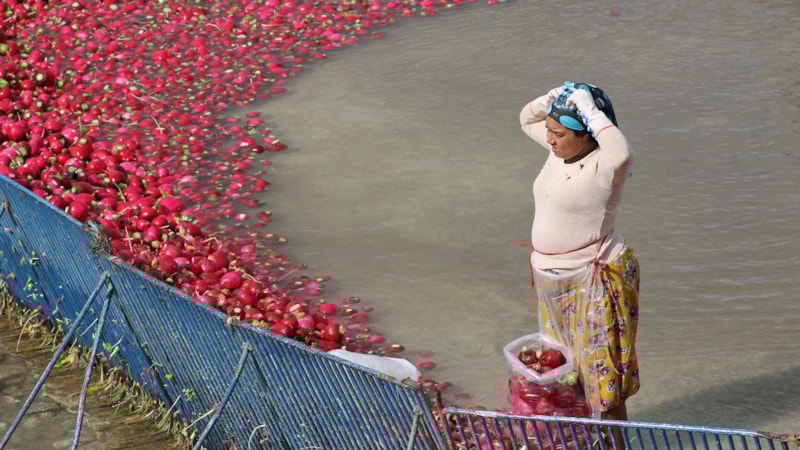 Osmaniye'de depremzede kadınların mesaisi!