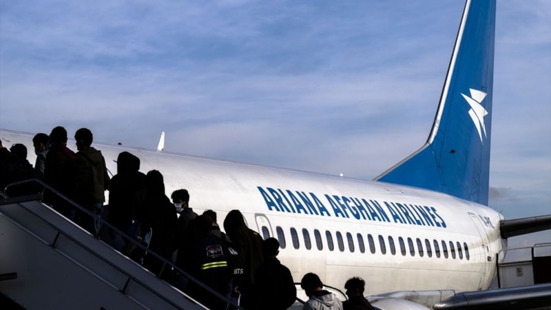 Göç İdaresi Başkanlığı, sınır dışı edilen düzensiz göçmen sayısını açıkladı