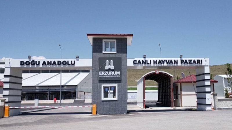 Doğu Anadolu Canlı Hayvan Pazarı şap önlemi için kapatıldı