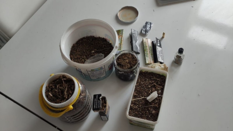 Kastamonu'da zehir tacirlerine şok baskın! 50 gözaltı..